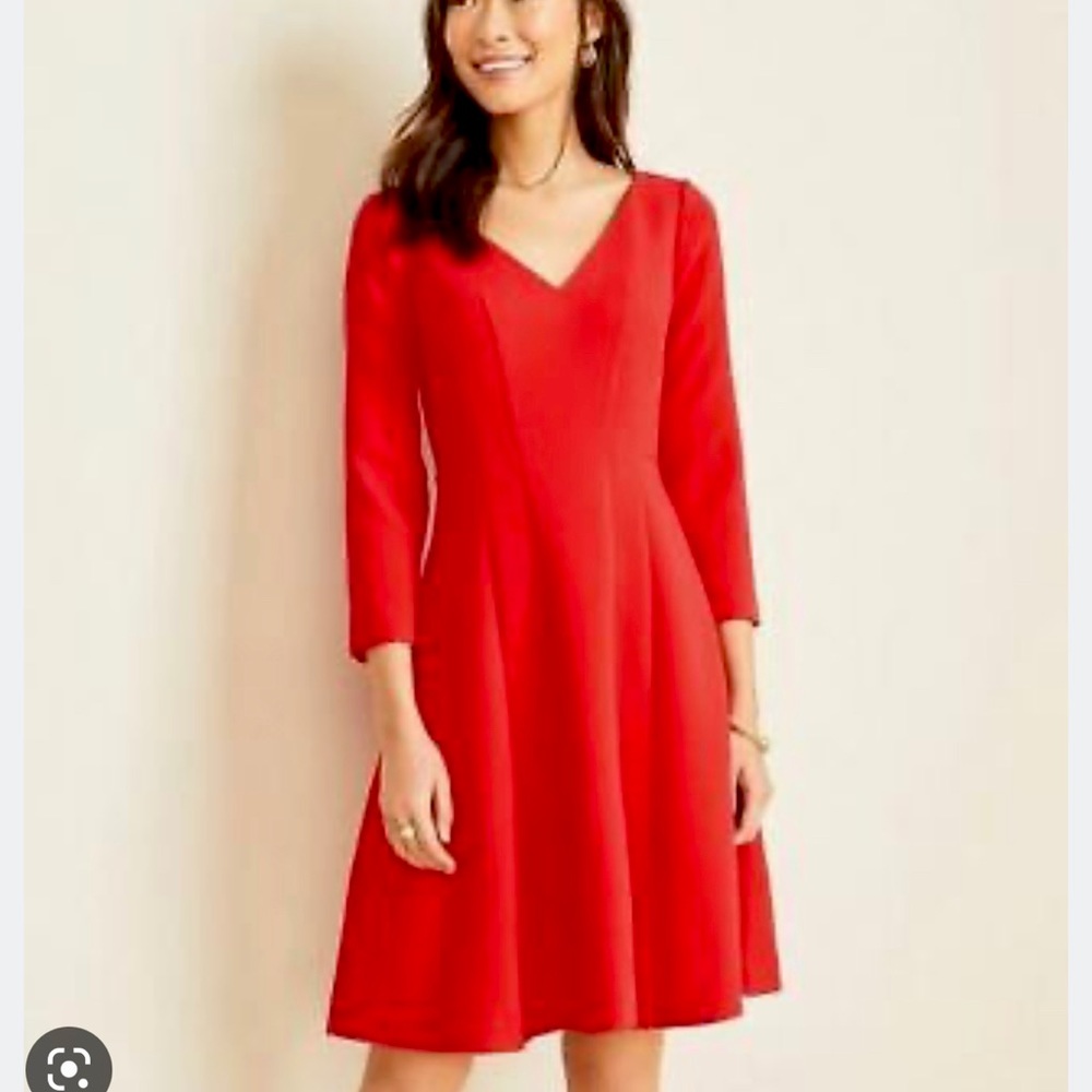 SALE❗️New w tag Ann Taylor skater dress-2p